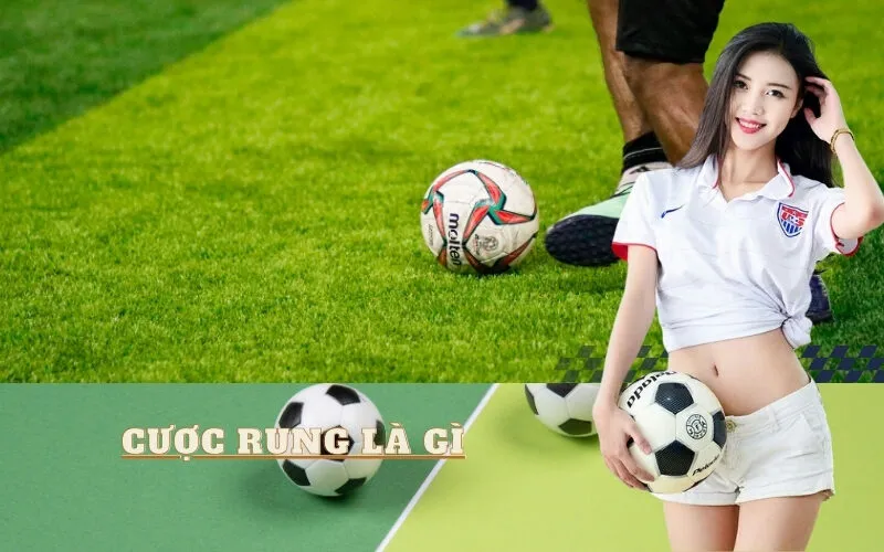 Cược rung là gì