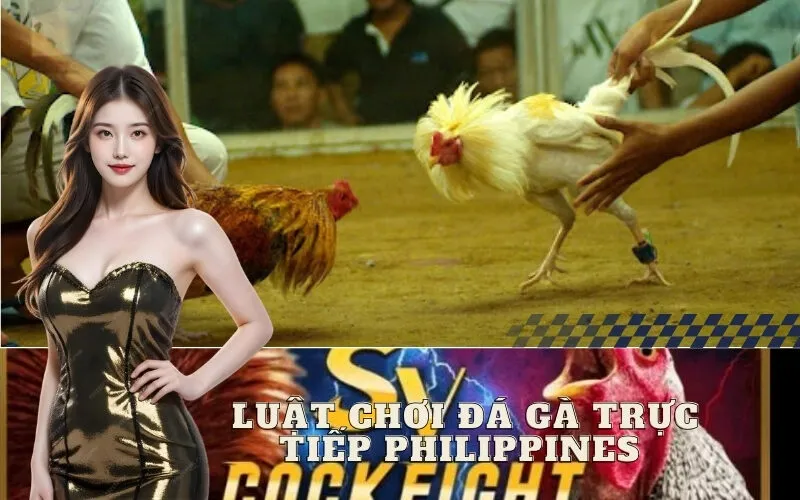 Luật Chơi Đá Gà Trực Tiếp Philippines